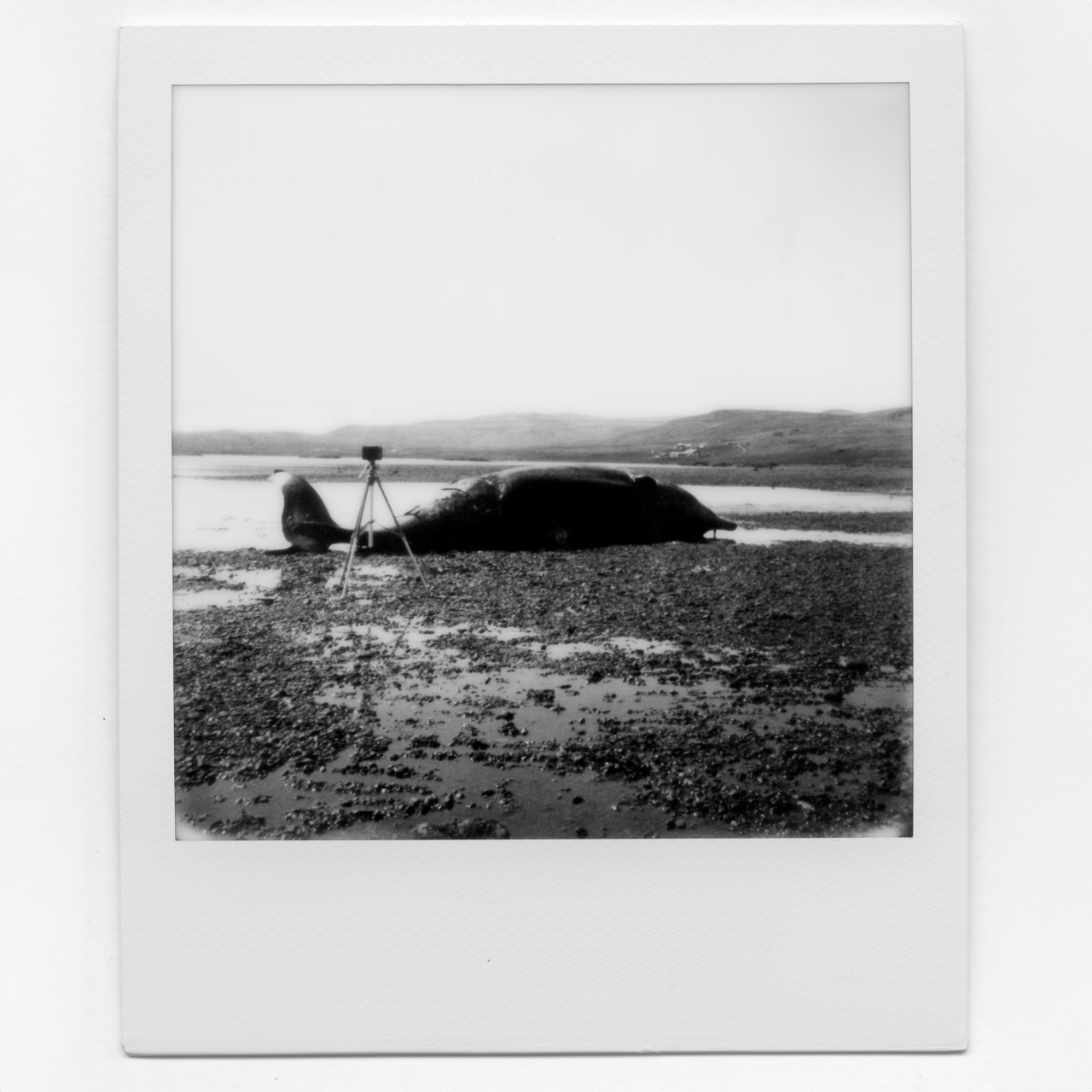 Polaroid West Fjords03